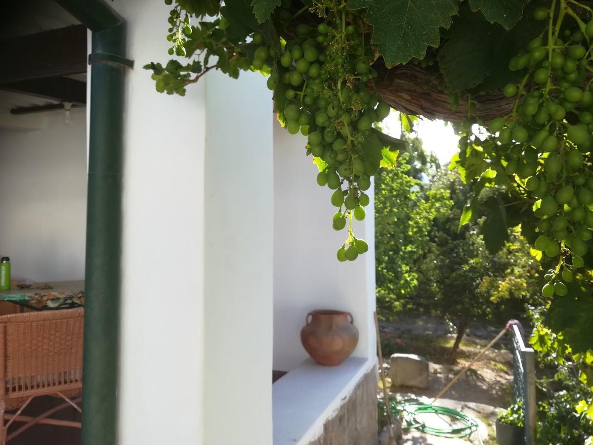 Villa Nanin Tilcara Exterior photo