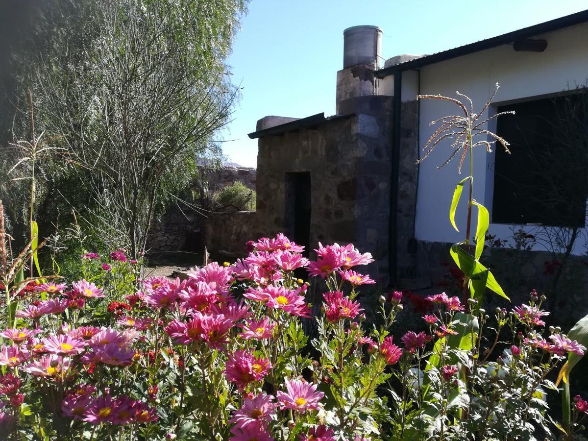 Villa Nanin Tilcara Exterior photo